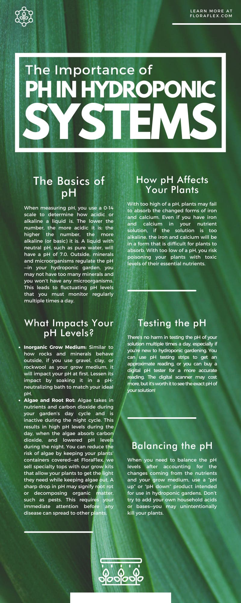 The Importance of pH in Hydroponic Systems