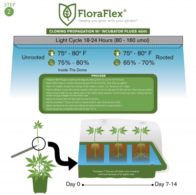 FloraFlex How to Grow: Cloning Propagation | Incubator Plugs 40|40