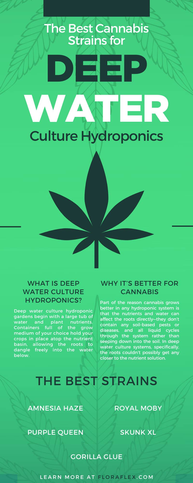 https://floraflex.com/media/wysiwyg/FloraflexCorp-78722-Cannibis-Water-Hydroponics-infographic1.jpg