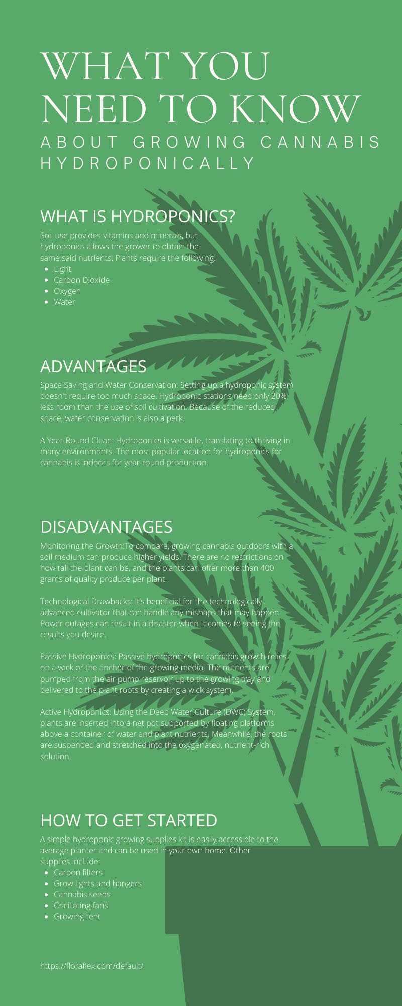 What You Need To Know About Growing Cannabis Hydroponically