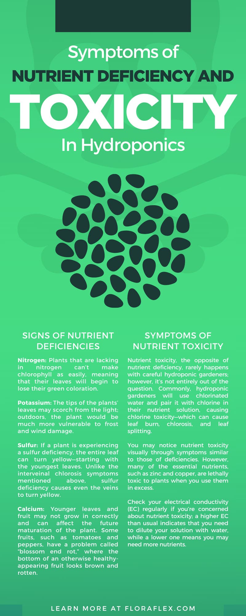 Symptoms of Nutrient Deficiency and Toxicity in Hydroponics